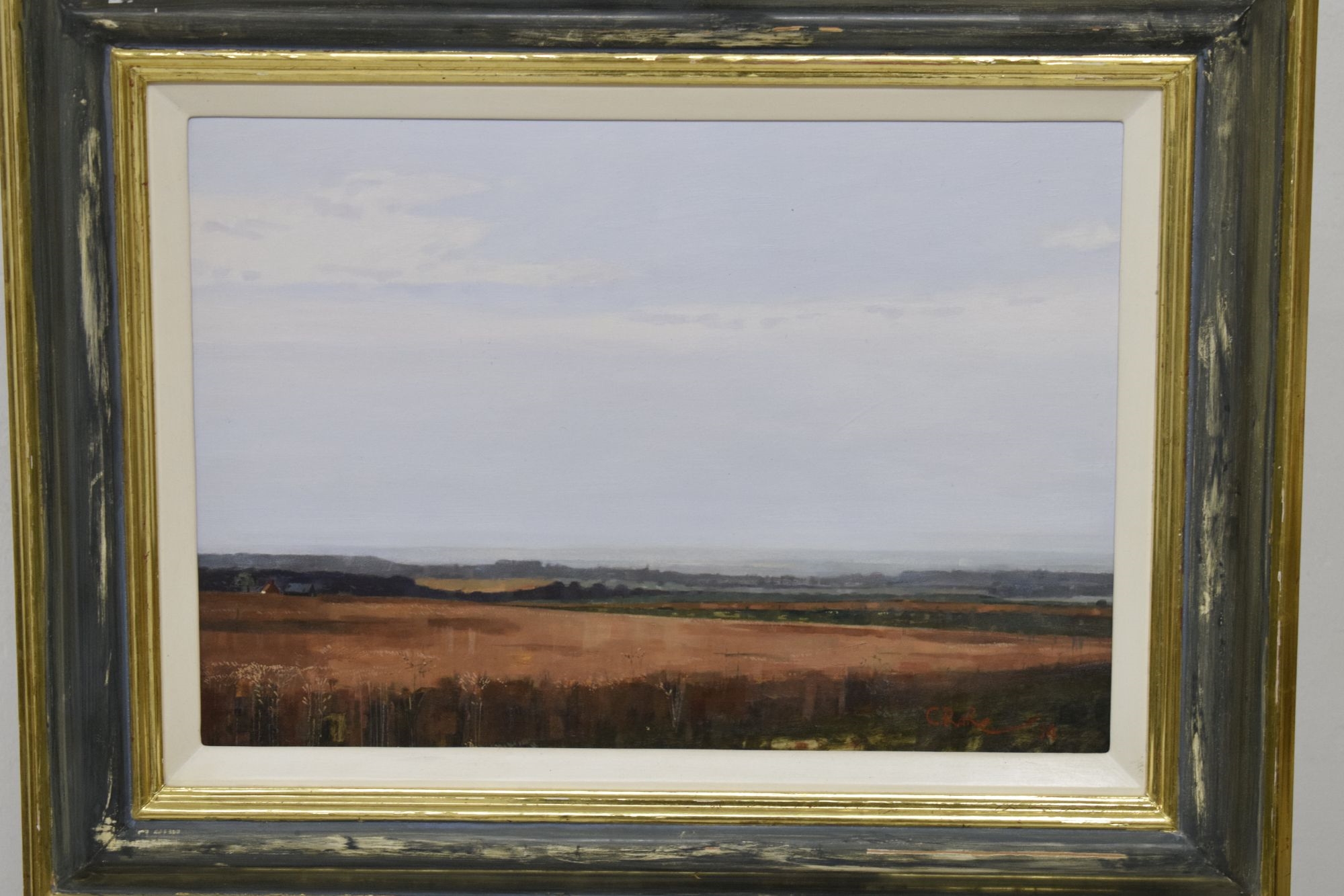 Charles Rake | Rural landscape (1994) | MutualArt