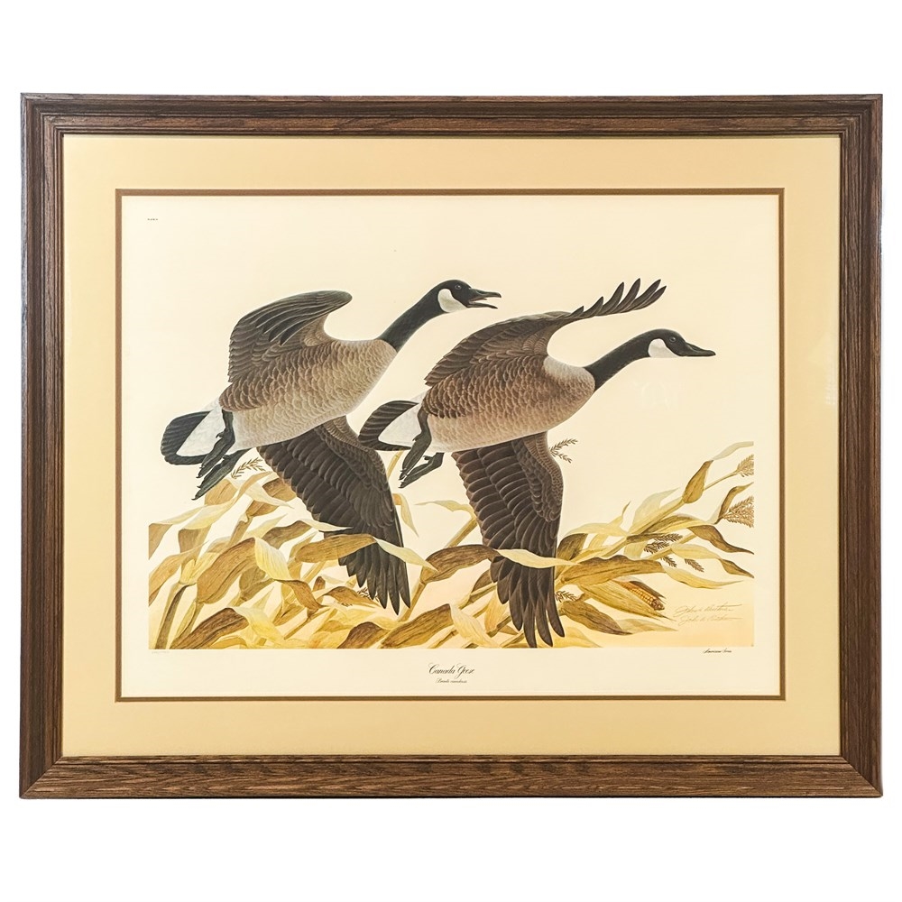 John Ruthven | Canada Geese | MutualArt