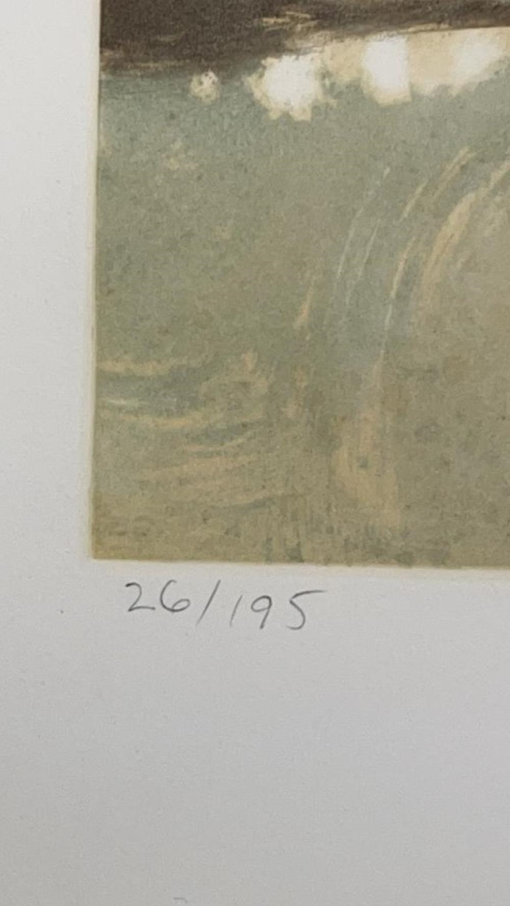 John Maxon | Monotype Abstract Lithograph | MutualArt