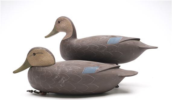 George Strunk | Pair of black ducks with raised wingtips and glass eyes ...
