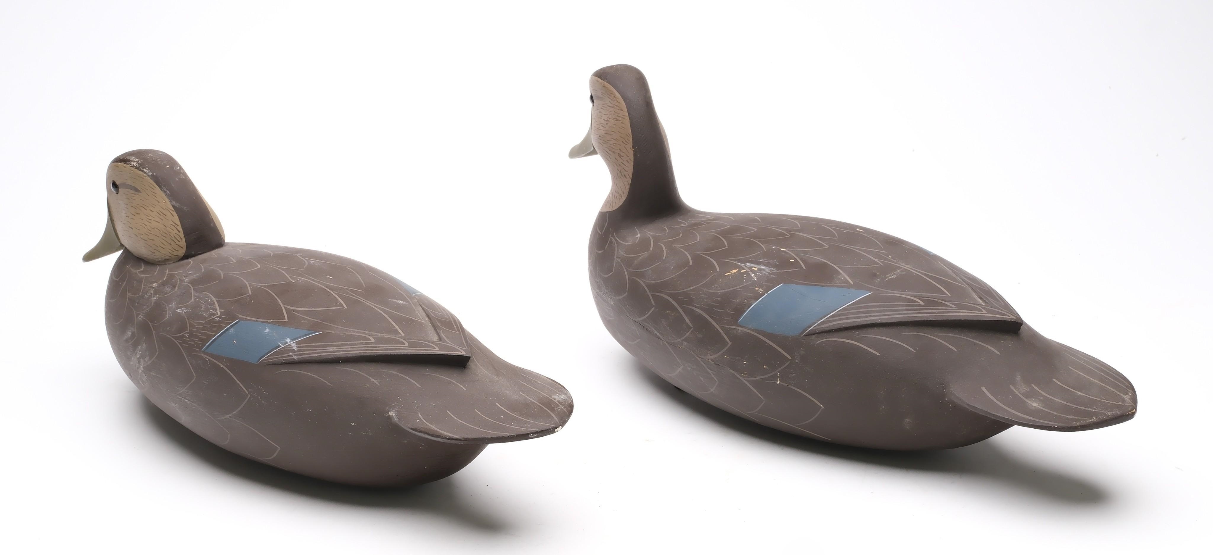 George Strunk | Pair of black ducks with raised wingtips and glass eyes ...