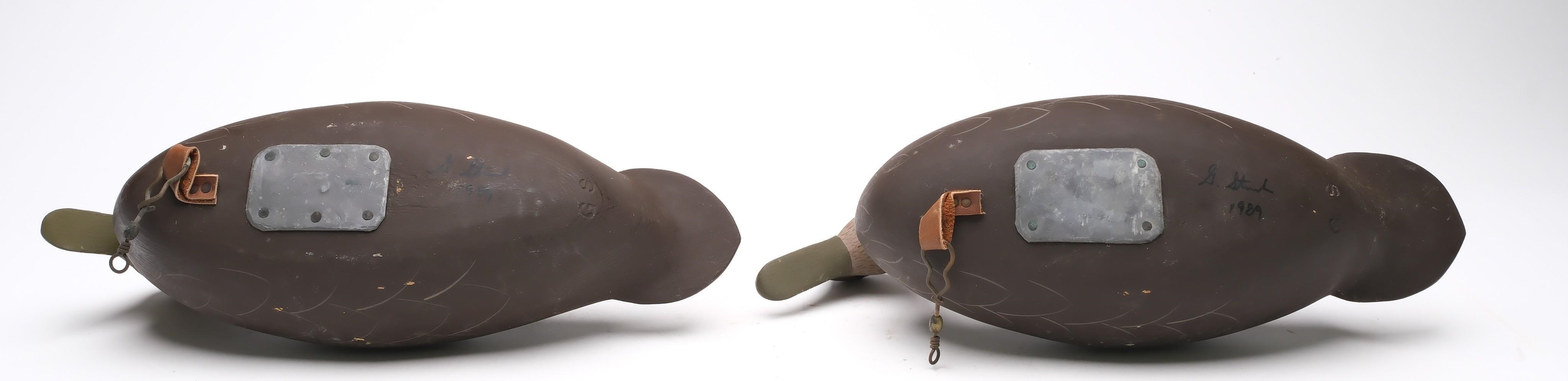 George Strunk | Pair of black ducks with raised wingtips and glass eyes ...