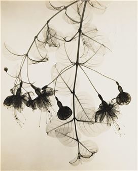 Darin L. Tasker | 49 Artworks at Auction | MutualArt
