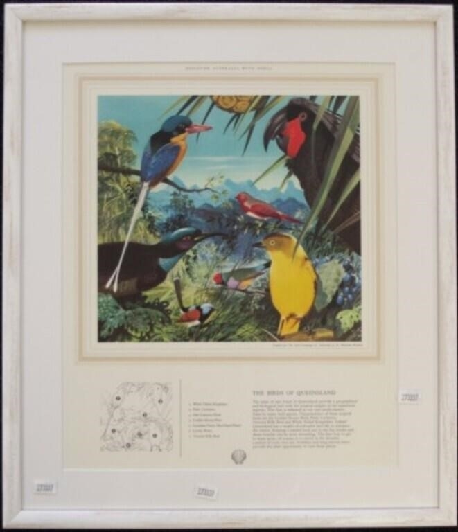 Ralph Malcolm Warner | The Birds of Queensland | MutualArt