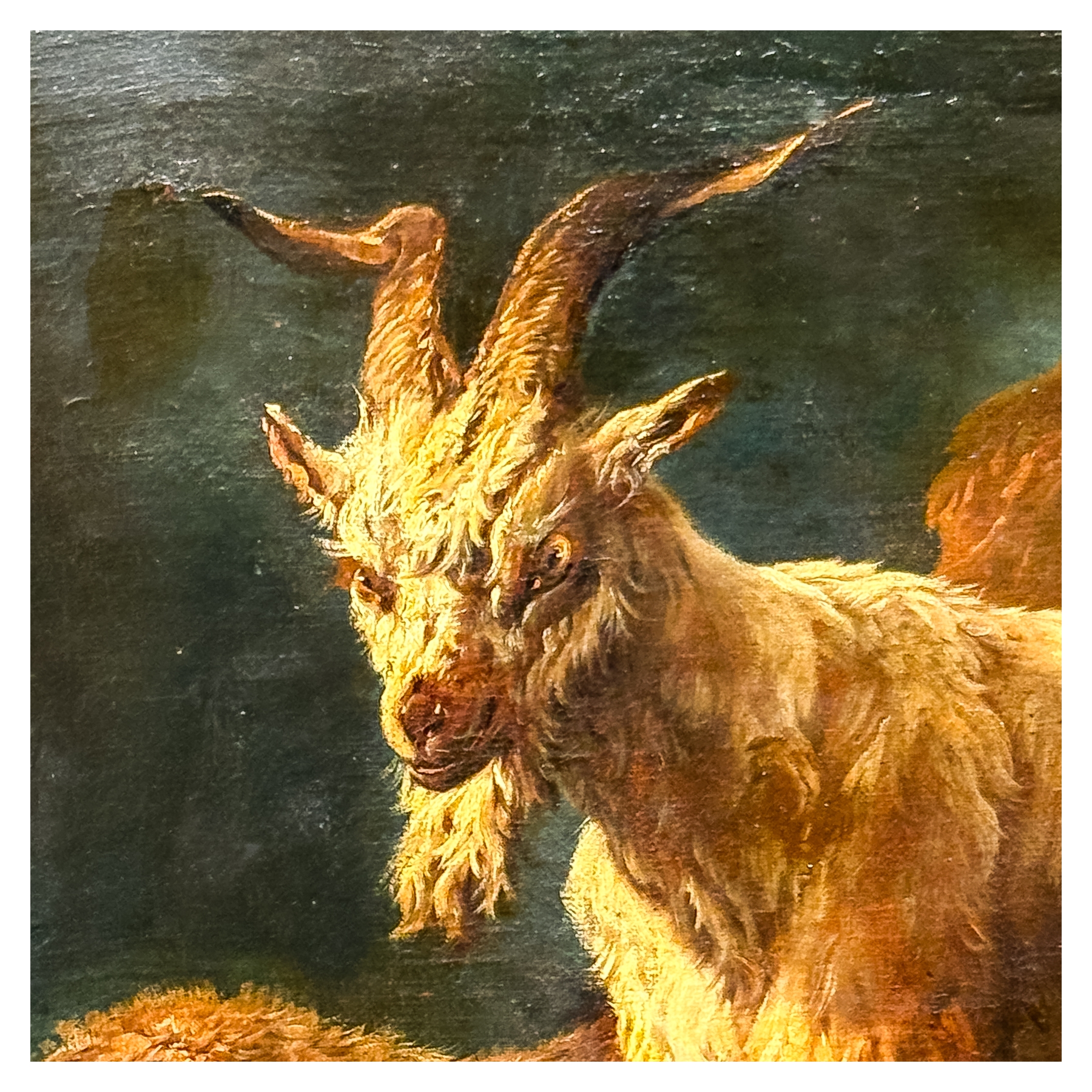 Philipp Peter Roos | Cabra | MutualArt