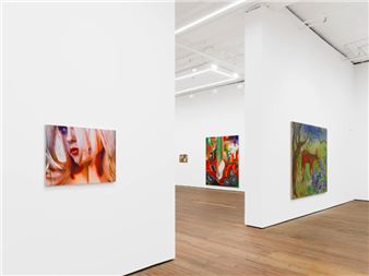 Installation view of Ian Hartshorne exhibition at GRIMM, New York.