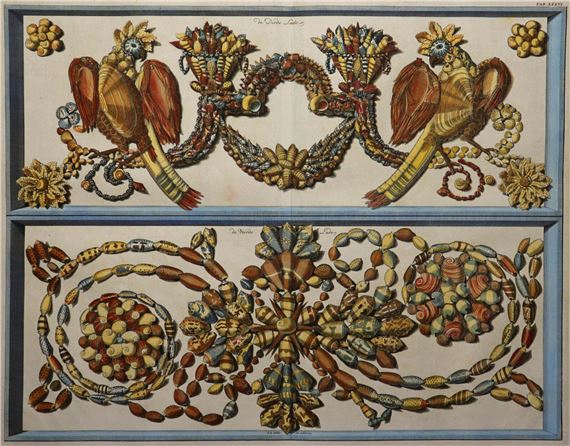 Ornaments Made Of Shells by Albertus Seba, 1758