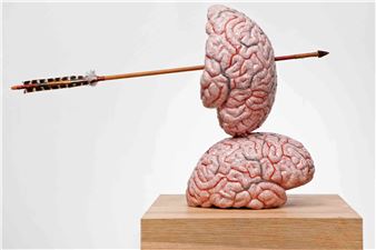 Jan Fabre: Brain thinking models and drawings - Mucciaccia Gallery, Cortina