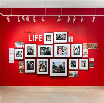 Looking at Life - Staley-Wise Gallery