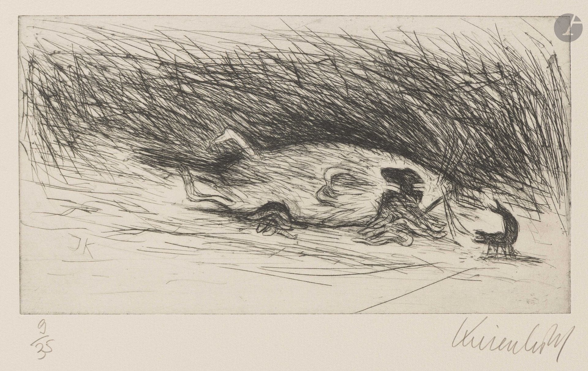 Jürg Kreienbühl | Decomposing mouse and insect (1952) | MutualArt