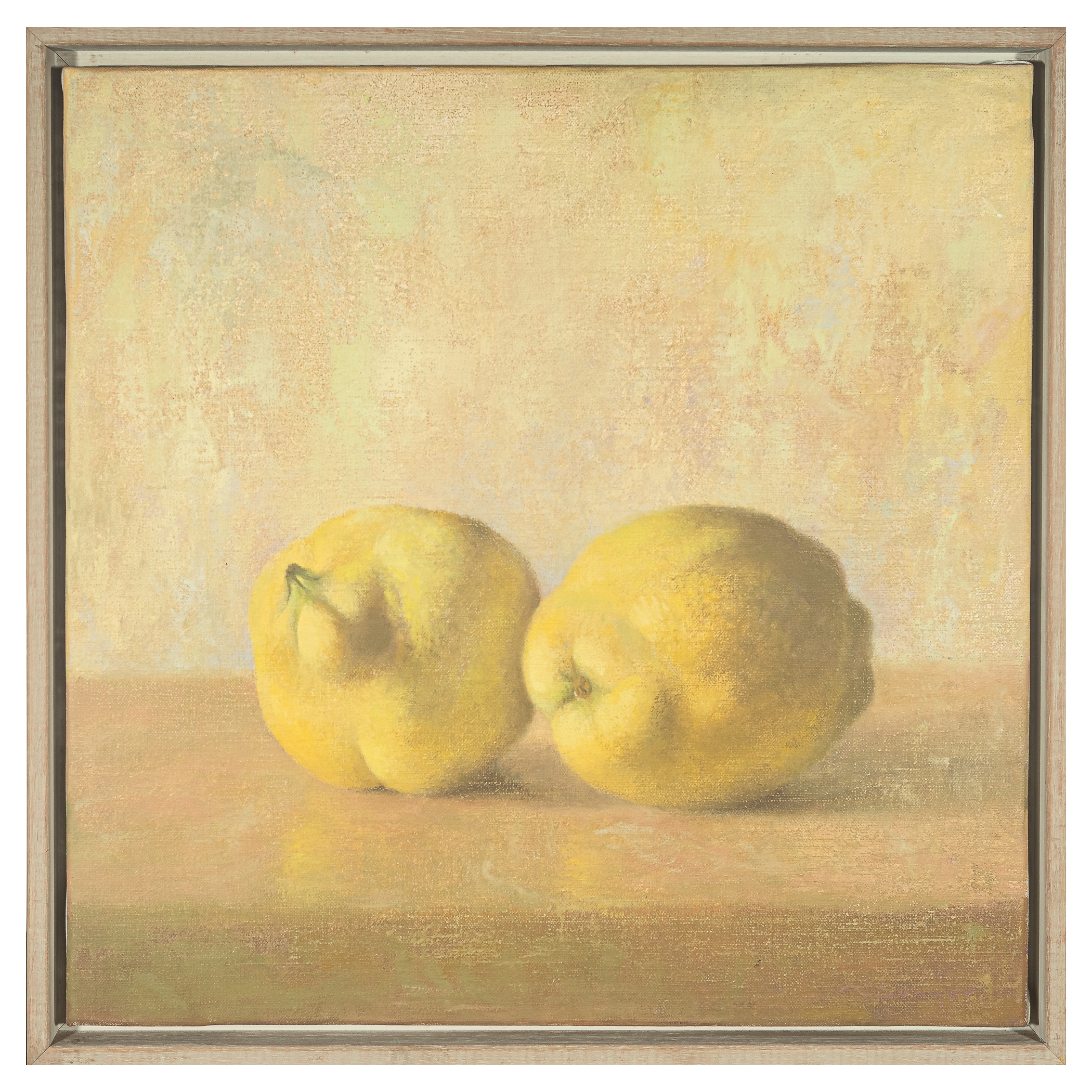 Raimon Sunyer | Dos codonys (2001) | MutualArt