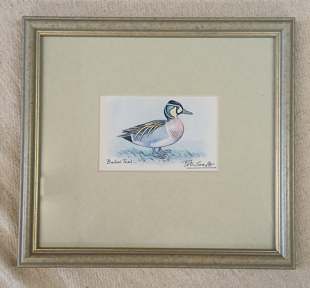 Peter Scott | 4 Peter Scott duck prints | MutualArt