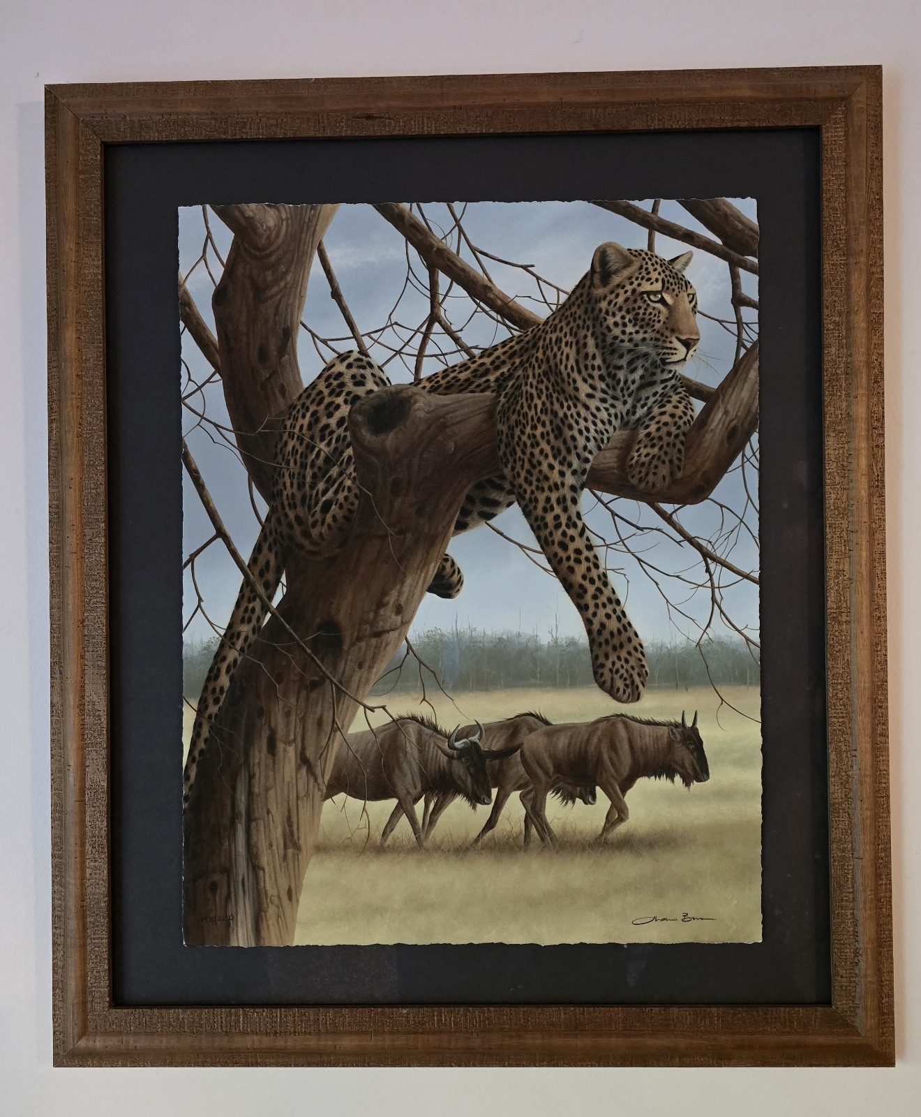 Andrew Bone | Collection of Andrew Bone African Wildlife prints signed ...