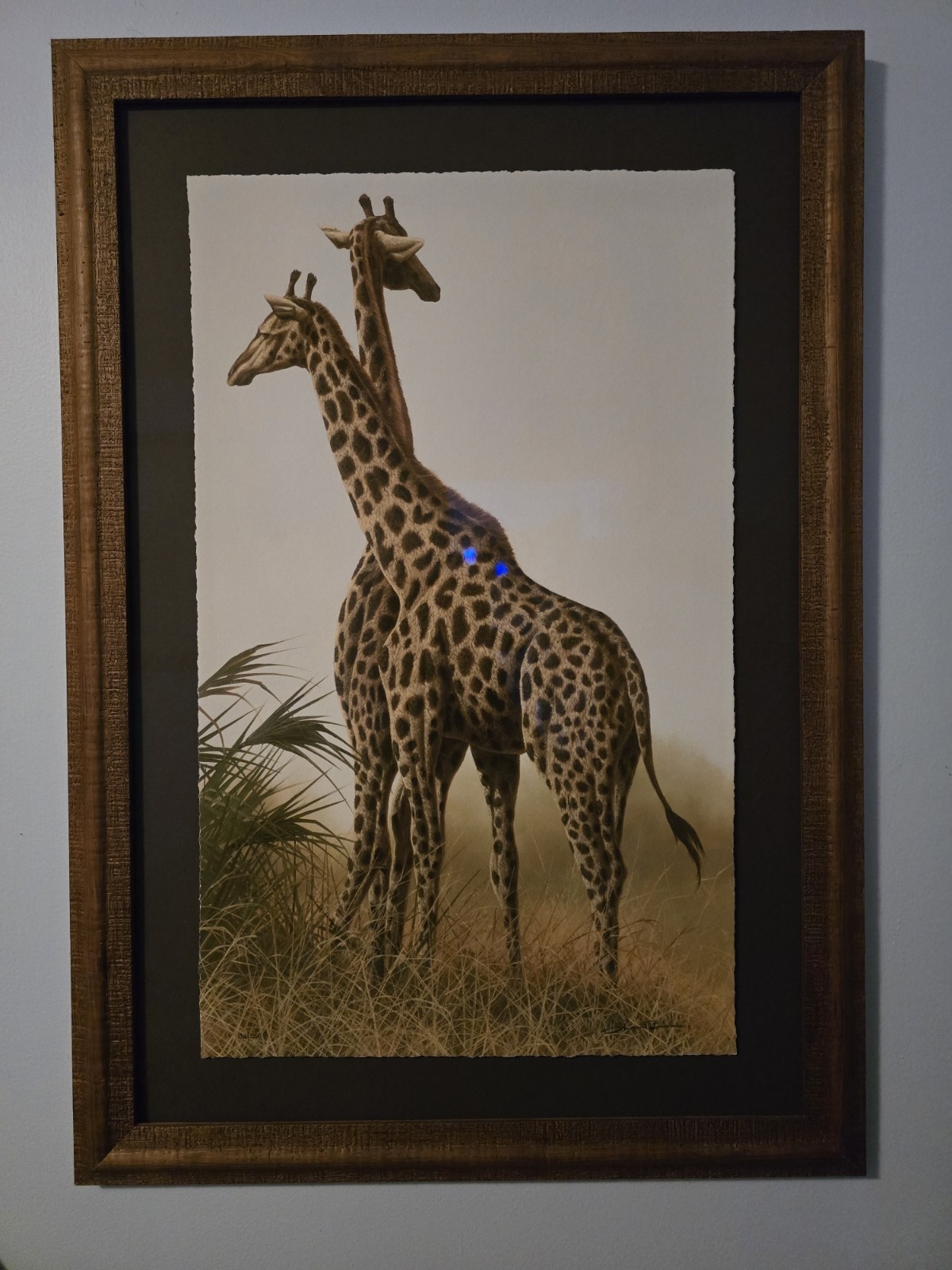Andrew Bone | Collection of Andrew Bone African Wildlife prints signed ...