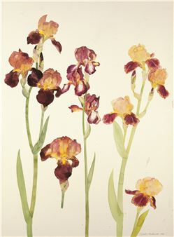 Jean F. Watson: An Artistic Legacy