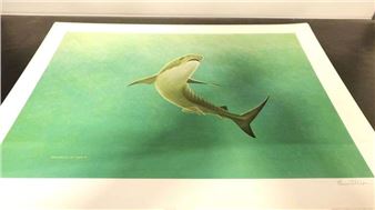 A realistic painting of a shark swimming in green water.