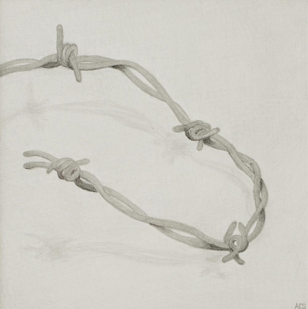 Alison Sutherland | Japanese Anemones togehter with Barbed Wire | MutualArt