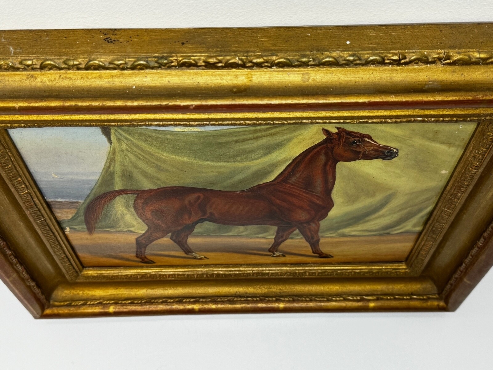 Charles Bilger Spalding | Chestnut Arab in the Bombay Stables (1900 ...