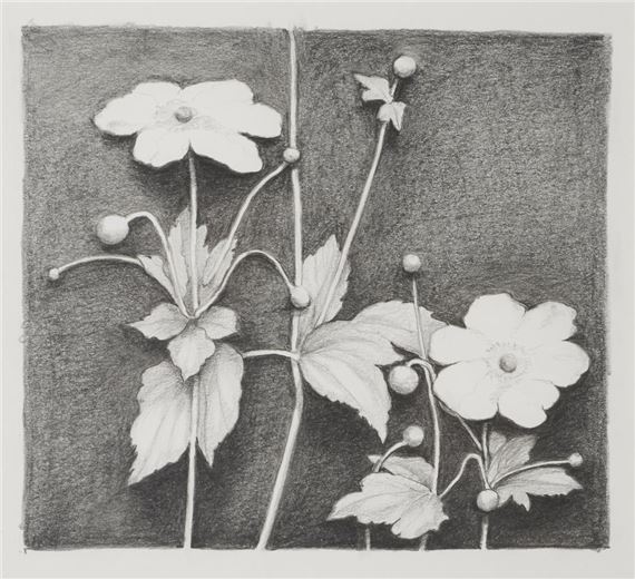 Alison Sutherland | Japanese Anemones togehter with Barbed Wire | MutualArt