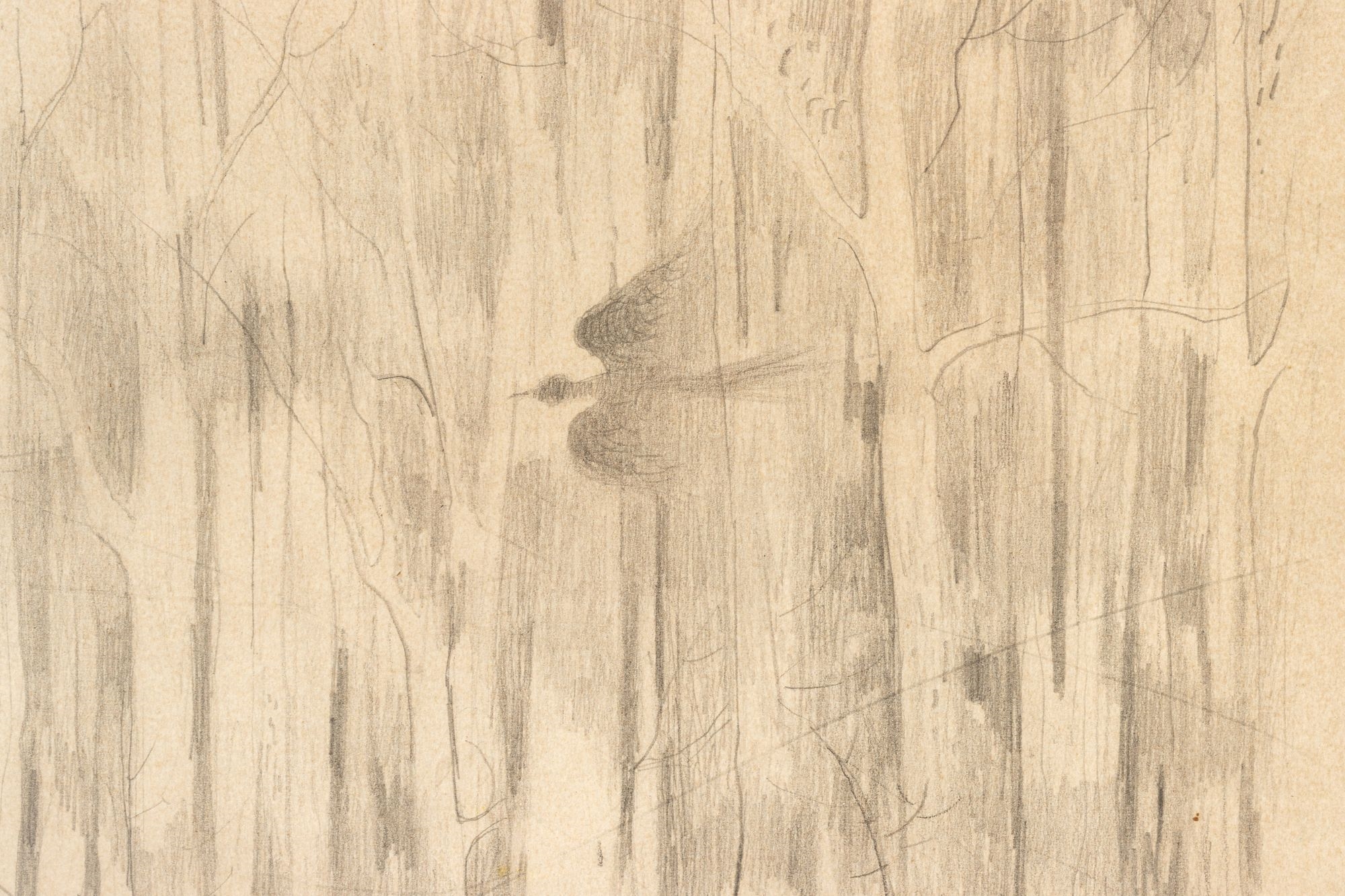 Frederick Simper | Bois Blanc Island | MutualArt