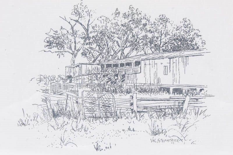 Val Fitzpatrick | Coulston Wool Shed Gunnedah, landscape with tree ...