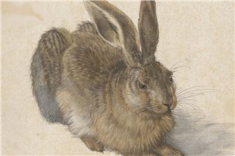 Collecting for the Future: 250 Years of the Albertina Museum - Albertina Museum
