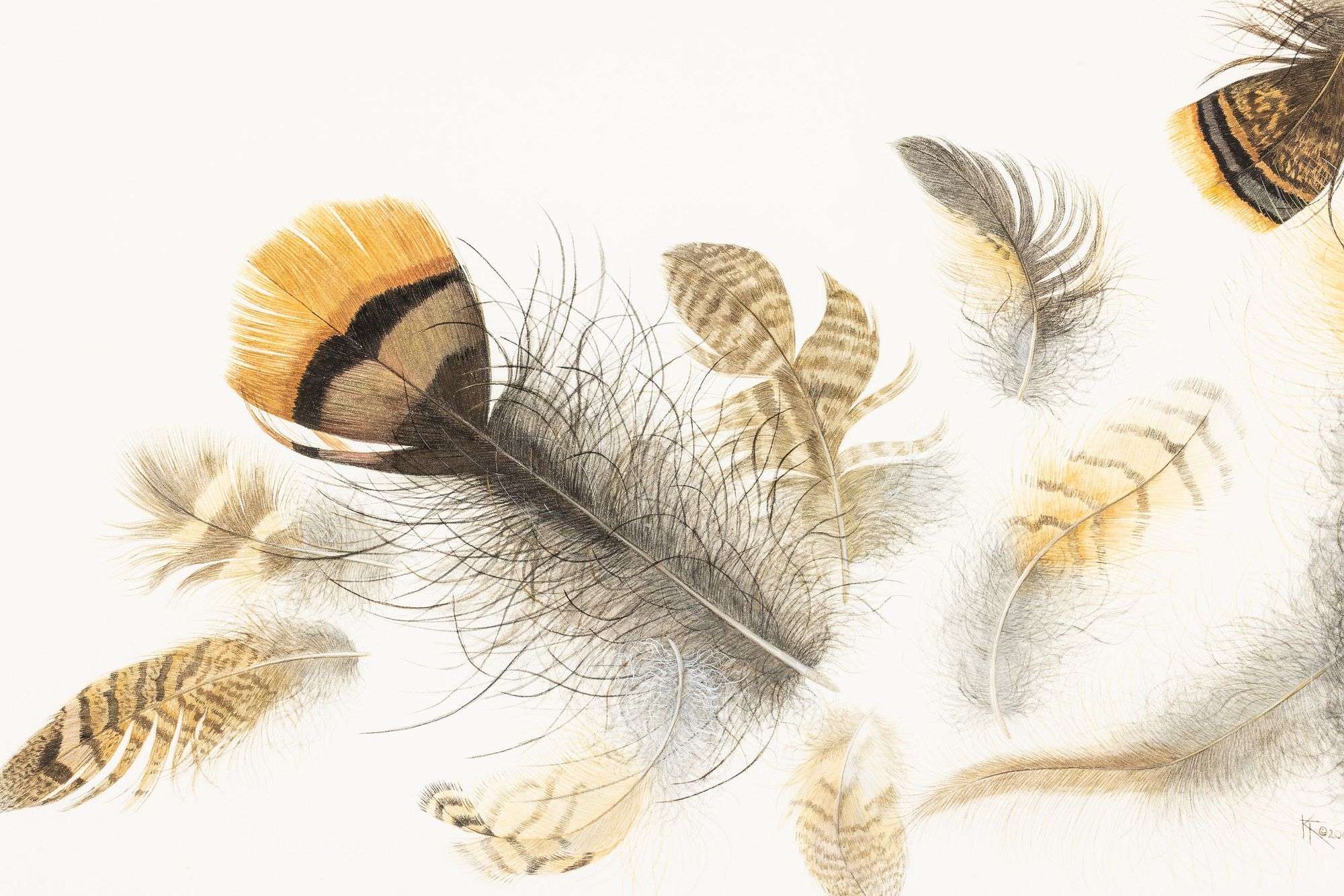 Katie Lee | 2 Works of Feathers (2001) | MutualArt