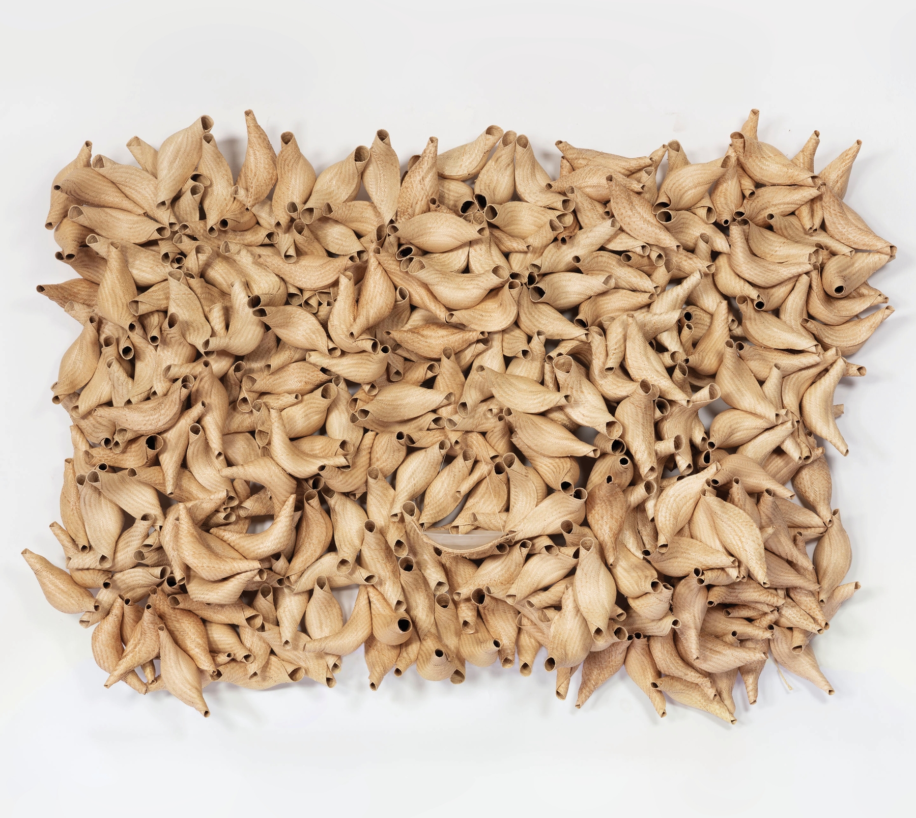 Laura Lima: Communal Nests for Windows, Balconies, Verandas, Gardens, and Forests at Goodman Gallery