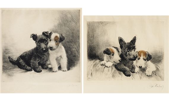 Curt Meyer-Eberhardt | TERRIERS | MutualArt