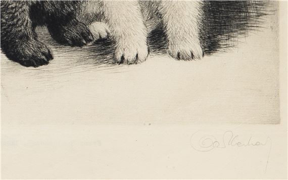 ヴィンテージ銅版画 Meyer Eberhardt 「3匹のテリア犬」 ヴィンテージ