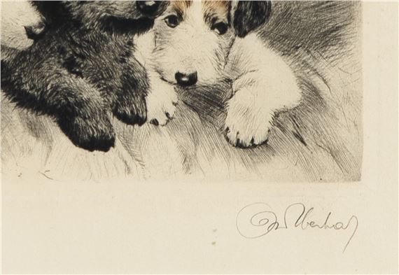 Curt Meyer-Eberhardt | TERRIERS | MutualArt