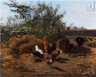 A rustic scene of poultry foraging in a sunlit field.