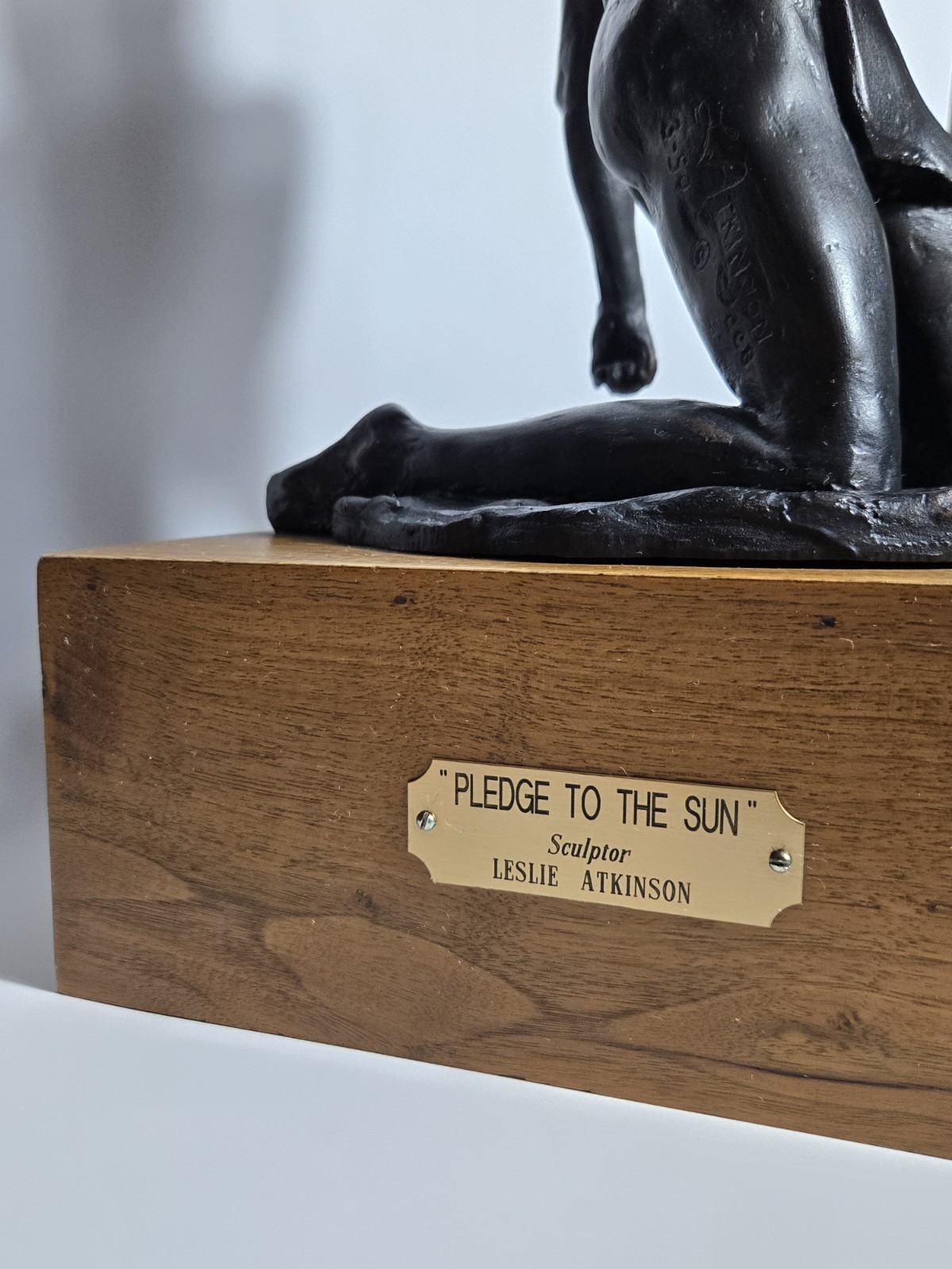 LESLIE ATKINSON | Pledge to the Sun (1988) | MutualArt