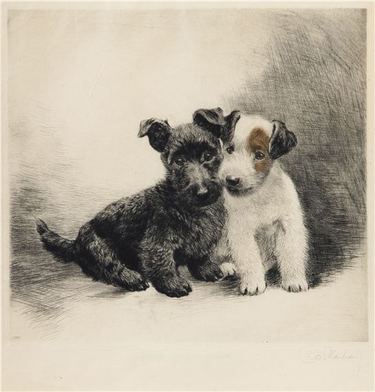 ヴィンテージ銅版画  Meyer Eberhardt 「3匹のテリア犬」 ヴィンテージ銅版画 Meyer Eberhardt 「3匹のテリア犬」 ヴィンテージ