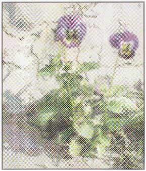 Archiv - Artstübli