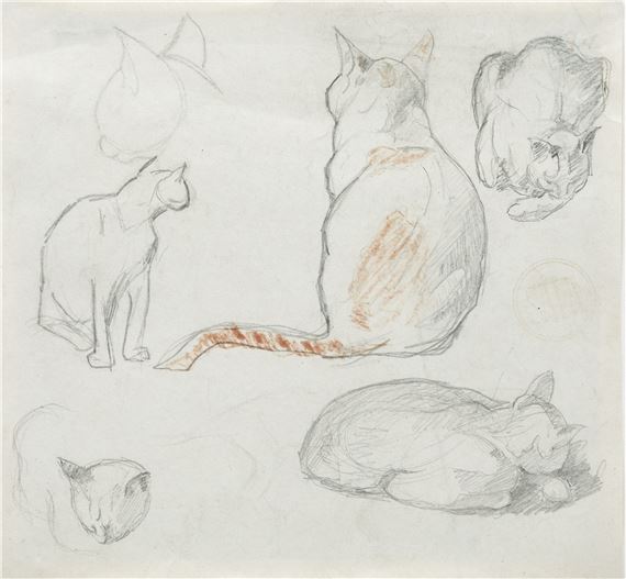 Study of cats - Emilio Sala y Francés