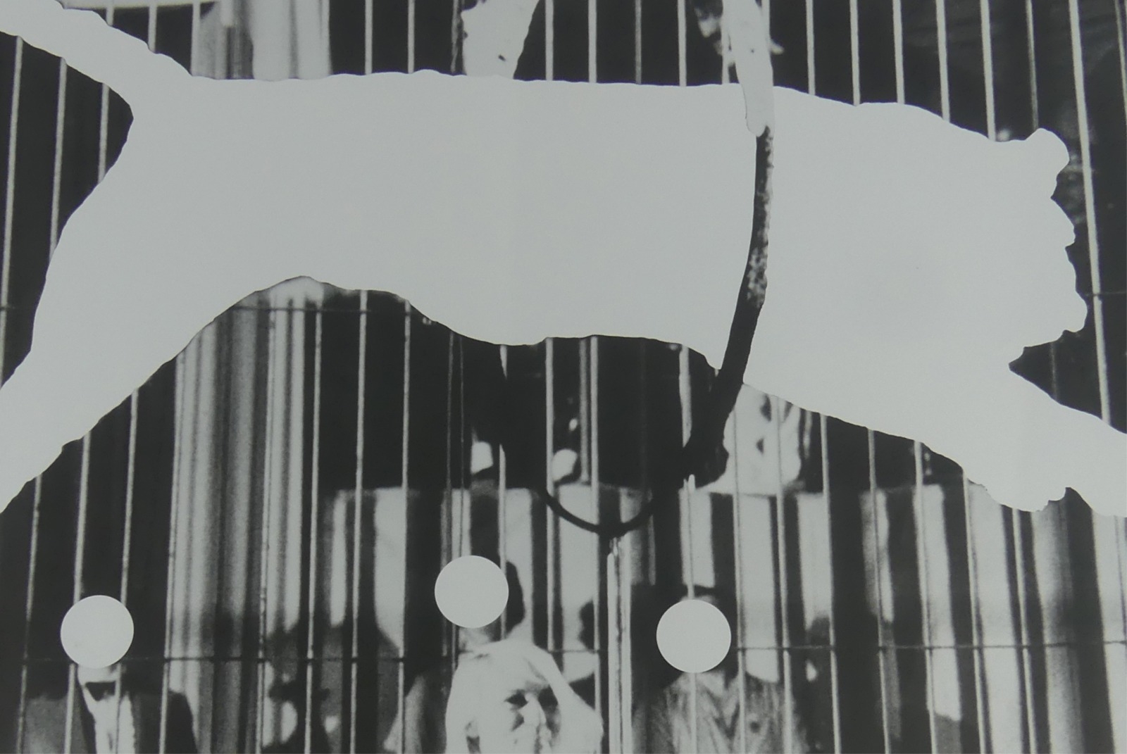 John Baldessari | TIGER WITH NO STRIPES | MutualArt