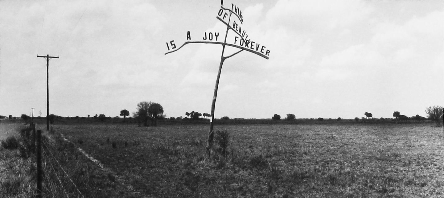 Jim Alinder | A Joy Forever, Florida, 1974 (1974) | MutualArt