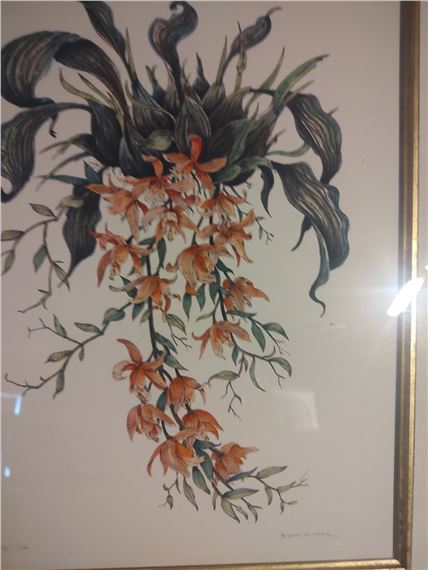 Dan Mitra | A Dan Mitra Pair Of Hand Colored Orchids (2019 - 2024 ...