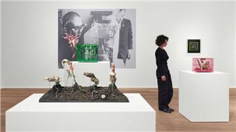 Takesada Matsutani: Shifting Boundaries, and Tetsumi Kudo: Microcosmos