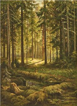 The sun breaking through the branches of the spruce forest, in the foreground a stream with mossy banks