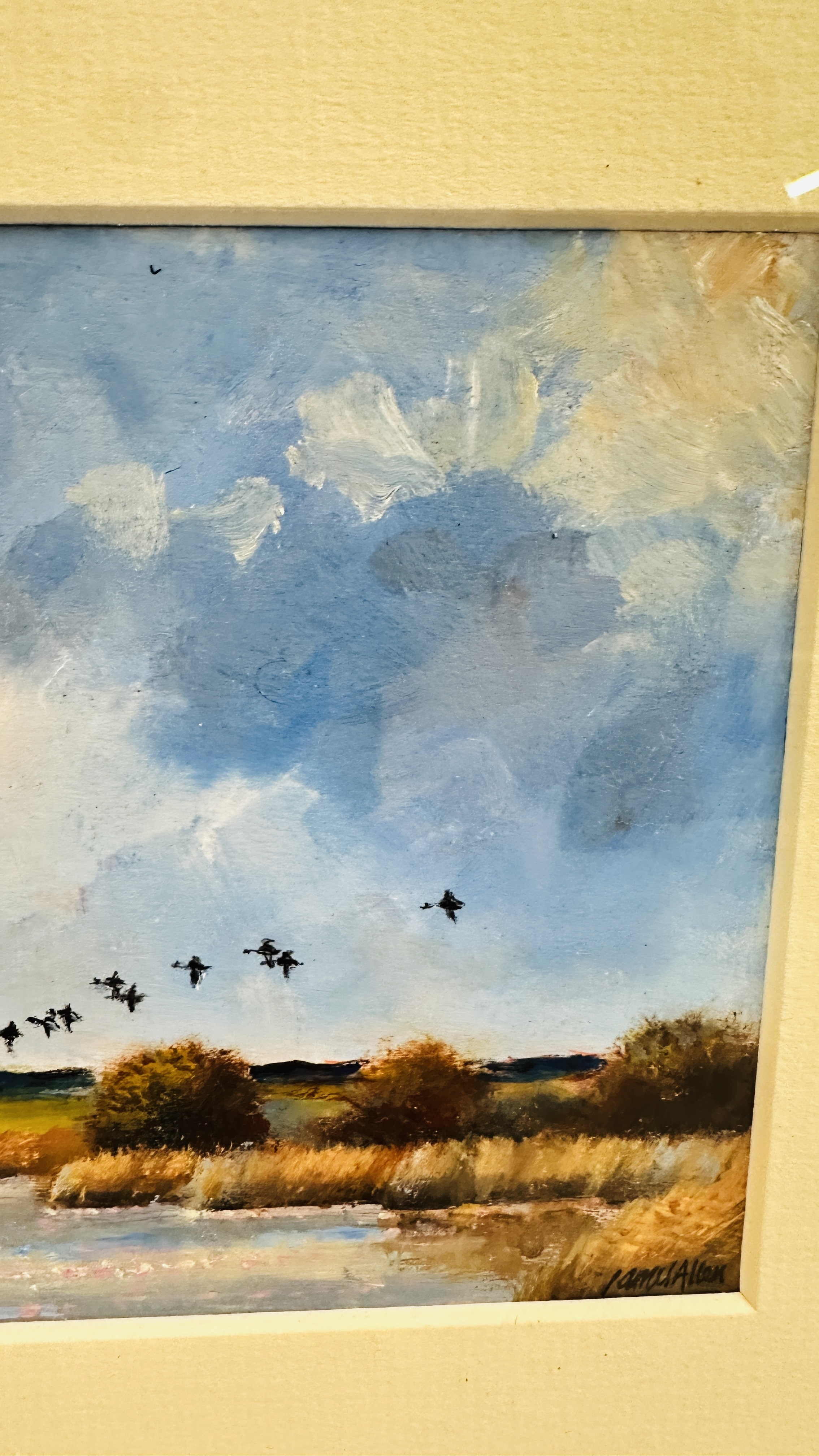 James Jack Allen | INCOMING DUCK NEAR RUNHAM NORFOLK | MutualArt