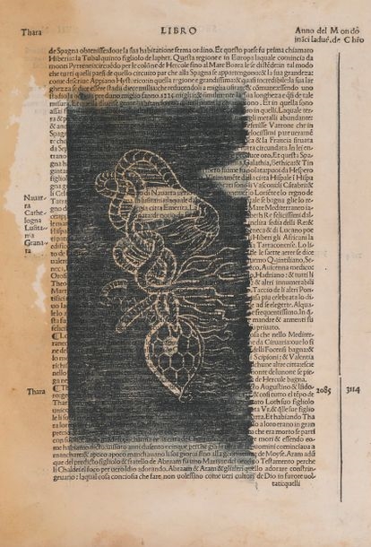 Robert Müller | Untitled | MutualArt