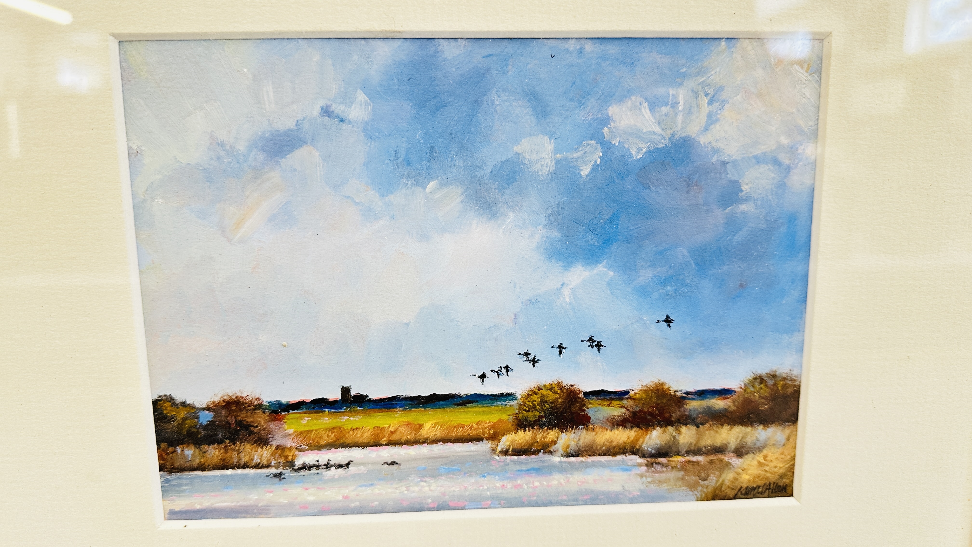 James Jack Allen | INCOMING DUCK NEAR RUNHAM NORFOLK | MutualArt