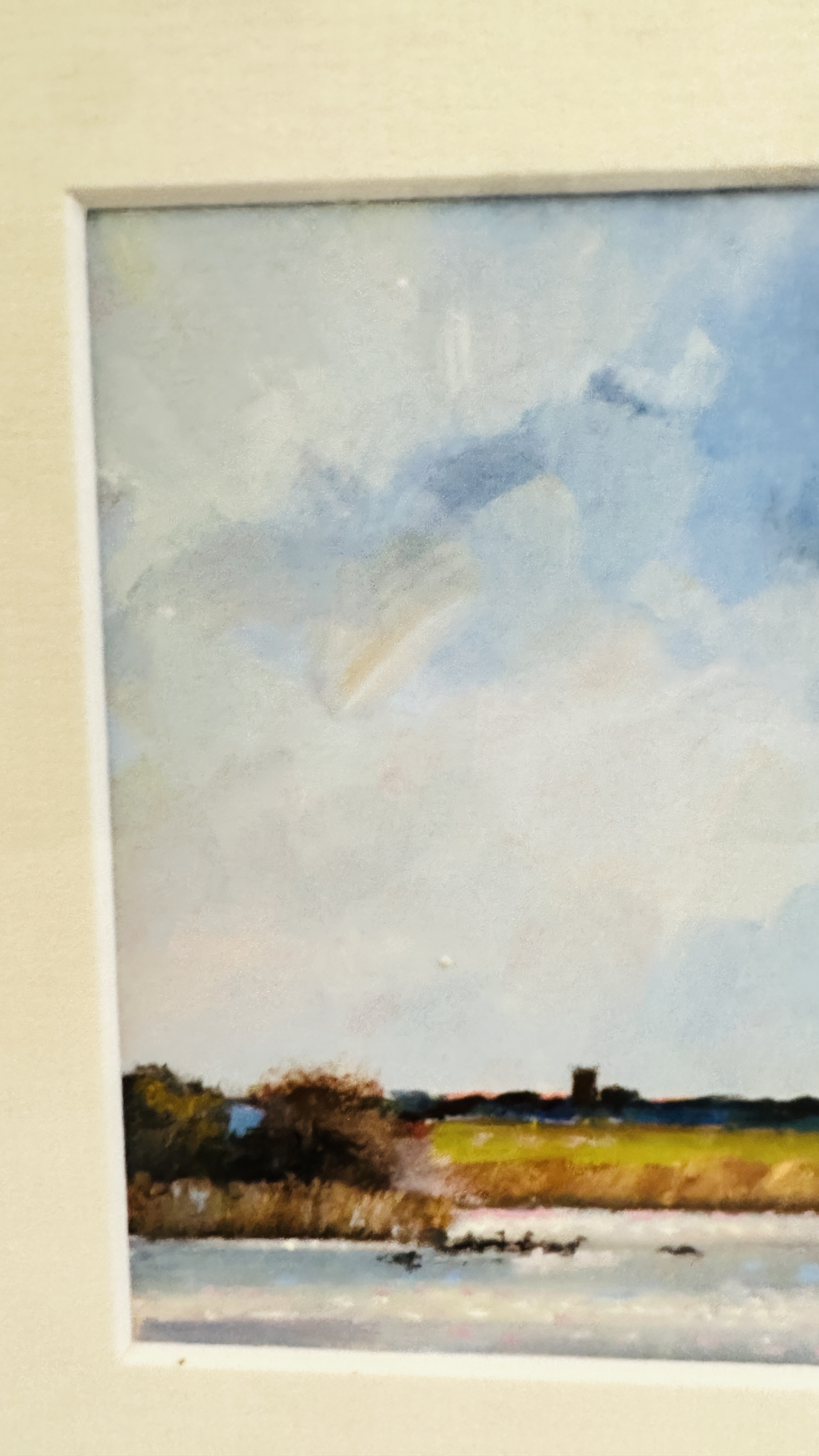 James Jack Allen | INCOMING DUCK NEAR RUNHAM NORFOLK | MutualArt
