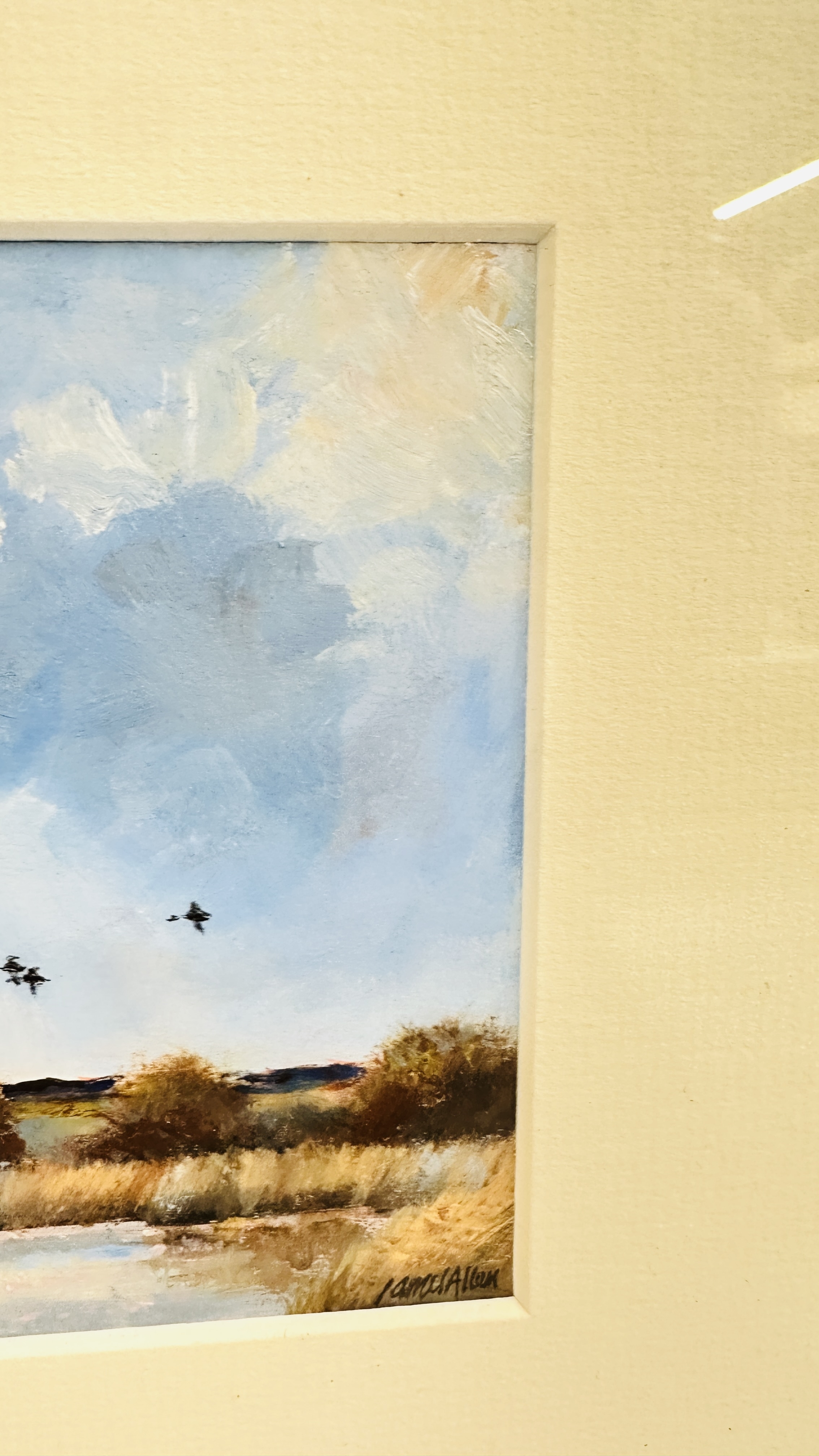 James Jack Allen | INCOMING DUCK NEAR RUNHAM NORFOLK | MutualArt