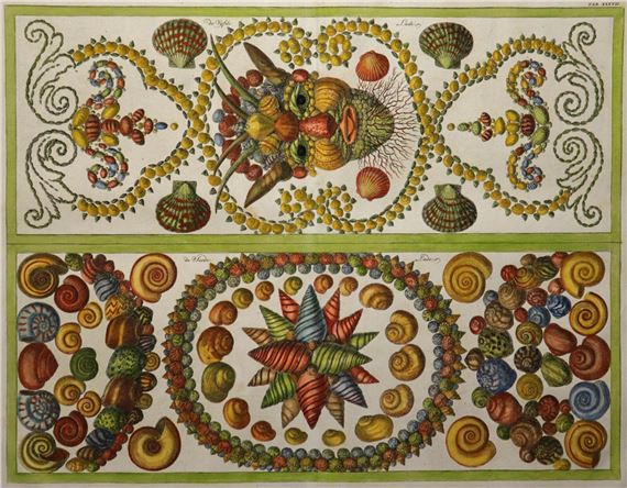 Ornaments Made of Shells by Albertus Seba, 1758