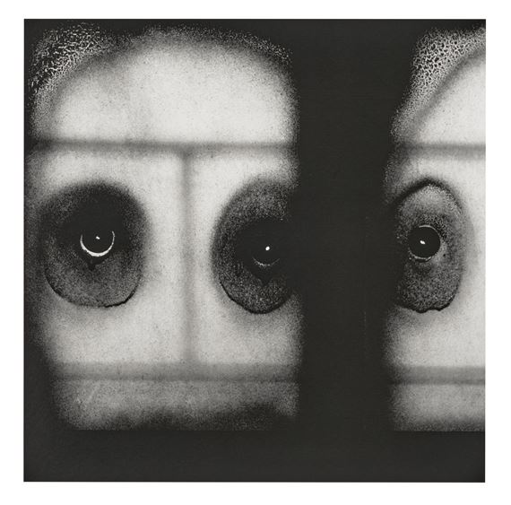 Roger Ballen | Stare (2008) | MutualArt