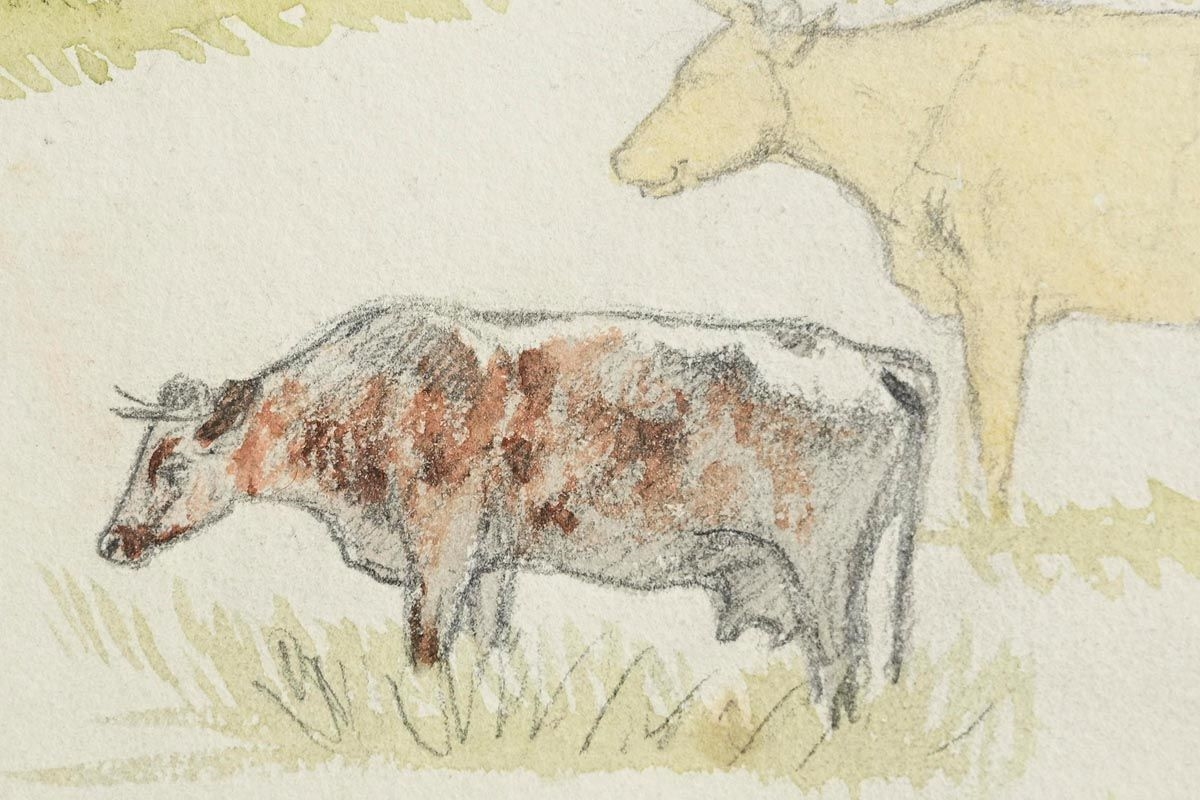 Mildred Anne Butler | Cow Study (1882 (1882) | MutualArt