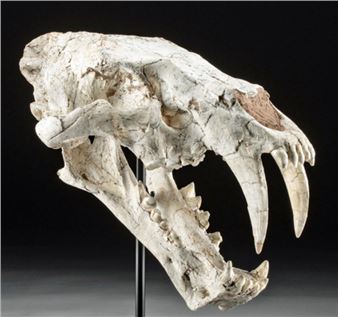Artemis Fine Arts and Arte Primitivo to co-host Feb. 26-27 Pre-Columbian, antiquities and fine art auction series online